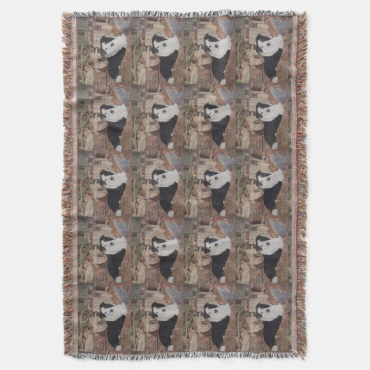 Border-Colliehühner im Klotzhalle-Hundeporträt Decke (Vorderseite Vertikal)