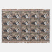 Border-Colliehühner im Klotzhalle-Hundeporträt Decke (Vorderseite)