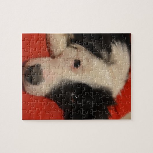 Border-Colliehund Puzzle (Horizontal)