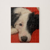 Border-Colliehund Puzzle (Vertikal)