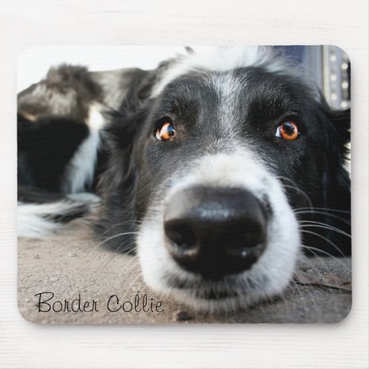 Border-CollieMausunterlage Mousepad (Vorne)