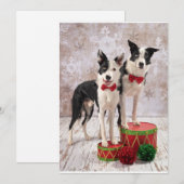 Border Collies Feiertagskarte (Vorne/Hinten)
