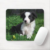 Border-Colliewelpe Mousepad (Mit Mouse)