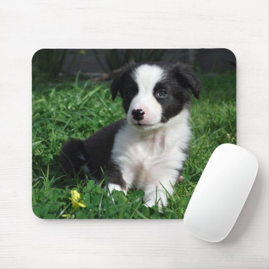 Border-Colliewelpe Mousepad (Mit Mouse)