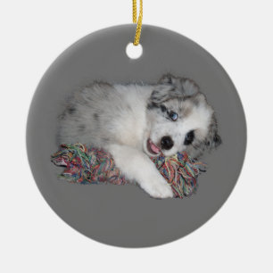 Border-Colliewelpen-Blau merle Keramikornament