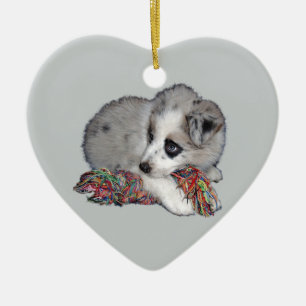 Border-Colliewelpen-Blau merle Keramikornament