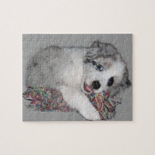 Border-Colliewelpen-Blau merle Puzzle