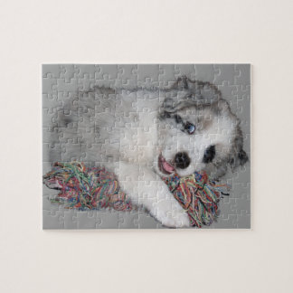Border-Colliewelpen-Blau merle Puzzle