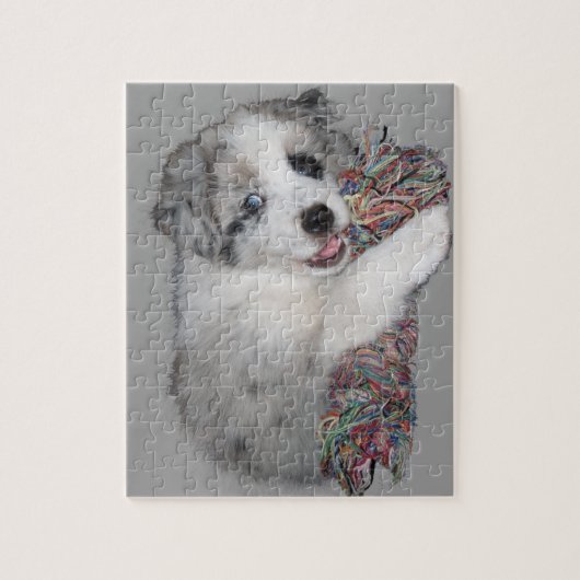Border-Colliewelpen-Blau merle Puzzle (Vertikal)