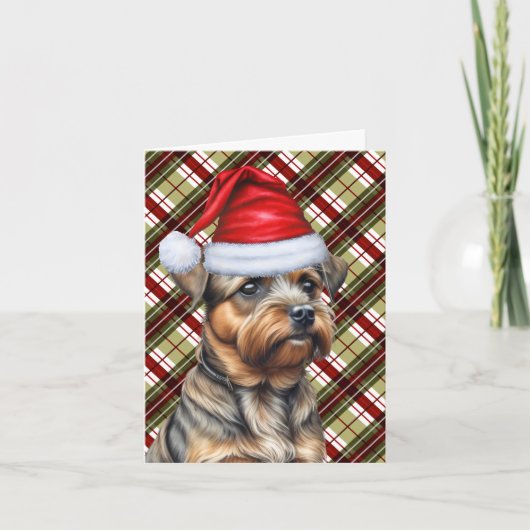 Border Terrier Dog Saisonale Karierte Weihnachten (Vorderseite)
