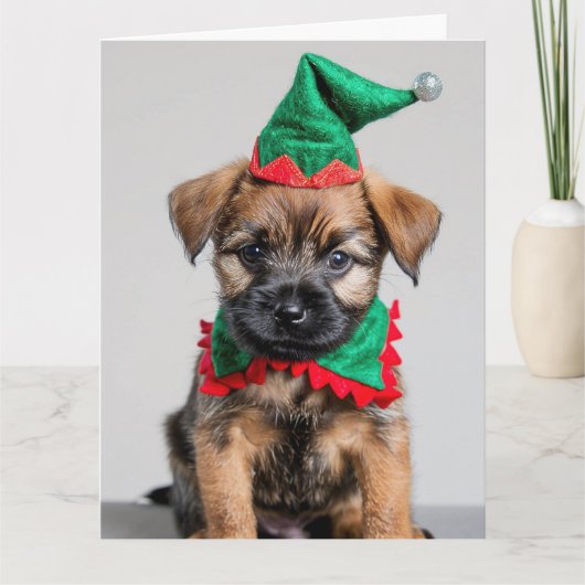 Border Terrier Elf Puppy Christmas Card Karte (Vorderseite)