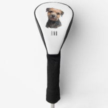 Border Terrier