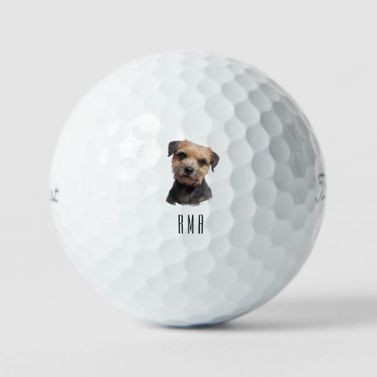 Border Terrier Golfball (Vorderseite)