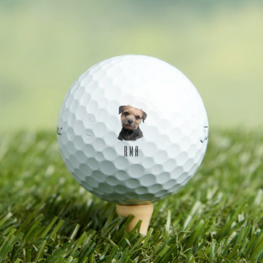 Border Terrier Golfball (Insitu T-Shirt)