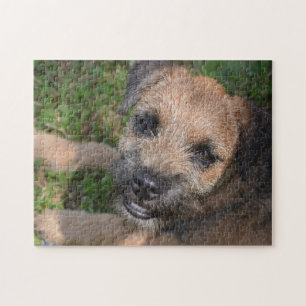 Border Terrier Portrait Puzzle