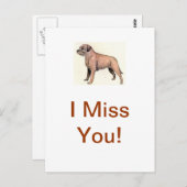 Border Terrier Postkarte (Vorne/Hinten)