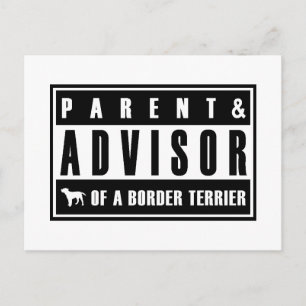 Border Terrier Postkarte
