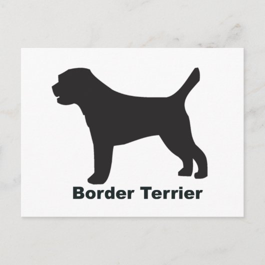 Border Terrier Postkarte (Vorderseite)