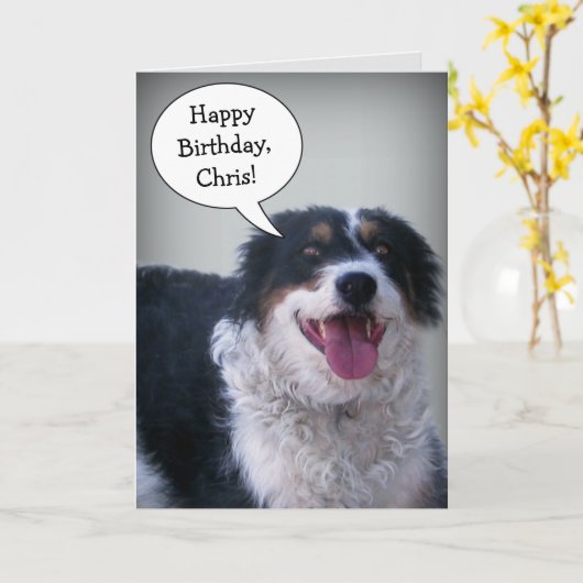 Bordercollie Birthday Card Karte (Gelbe Blume)