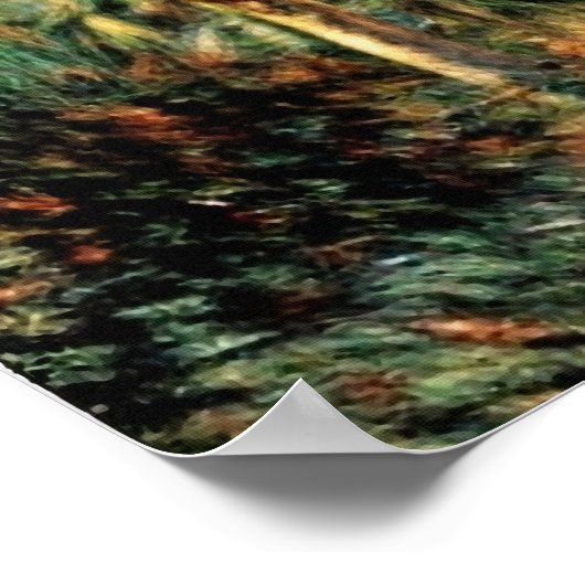 Bordighera Garden Poster (Ecke)