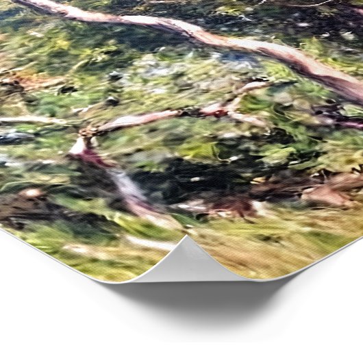 Bordighera Poster (Ecke)