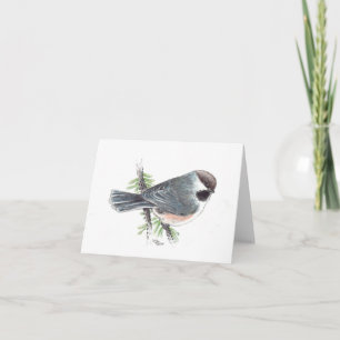 Boreal Chickadee Grußkarte Karte