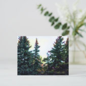 Boreal Forest Trees Canada Künstlerisch Artistic C Postkarte (Stehend Vorderseite)