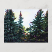 Boreal Forest Trees Canada Künstlerisch Artistic C Postkarte (Vorderseite)