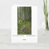 "Boreal Life Trail" Adirondack Forest Scene Karte (Rückseite)