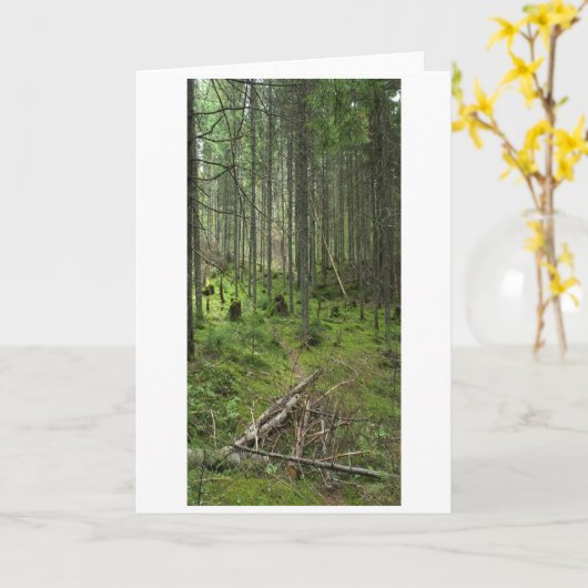 "Boreal Life Trail" Adirondack Forest Scene Karte (Gelbe Blume)