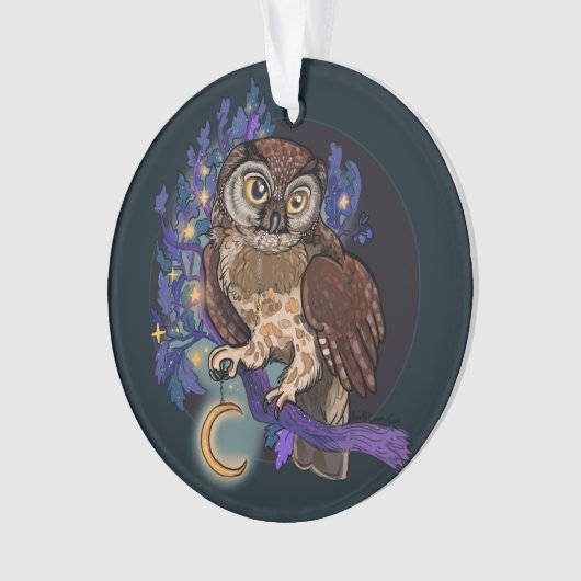 Boreal Night Tree Owl Ornament (Vorderseite)