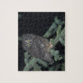 Boreal Owl auf Branch Puzzle (Vertikal)