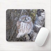 Boreal Owl Mouse Pad Mousepad (Mit Mouse)