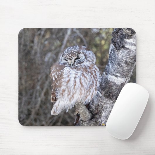 Boreal Owl Mouse Pad Mousepad (Mit Mouse)