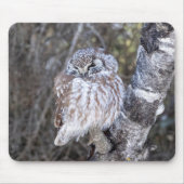 Boreal Owl Mouse Pad Mousepad (Vorne)