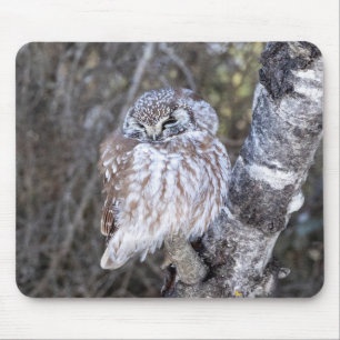 Boreal Owl Mouse Pad Mousepad