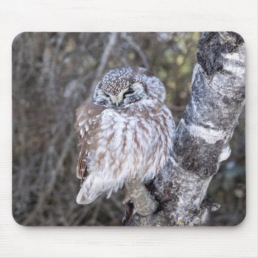 Boreal Owl Mouse Pad Mousepad (Vorne)