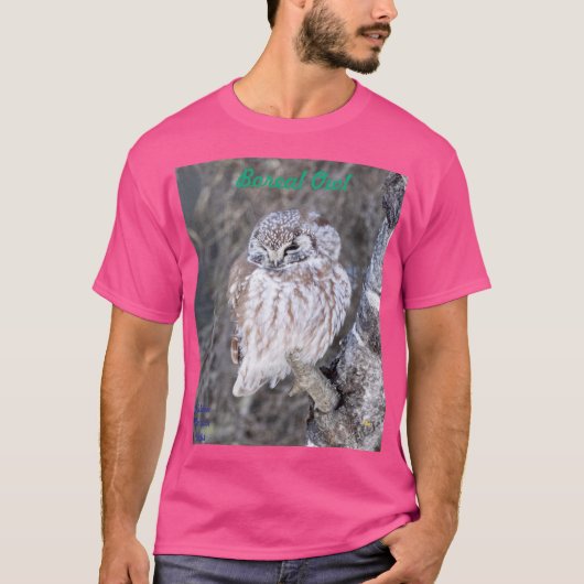 Boreal Owl T - Shirt (Vorderseite)