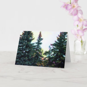 Borealwald Bäume Kanada Künstlerisch Kunstvoll Far Karte