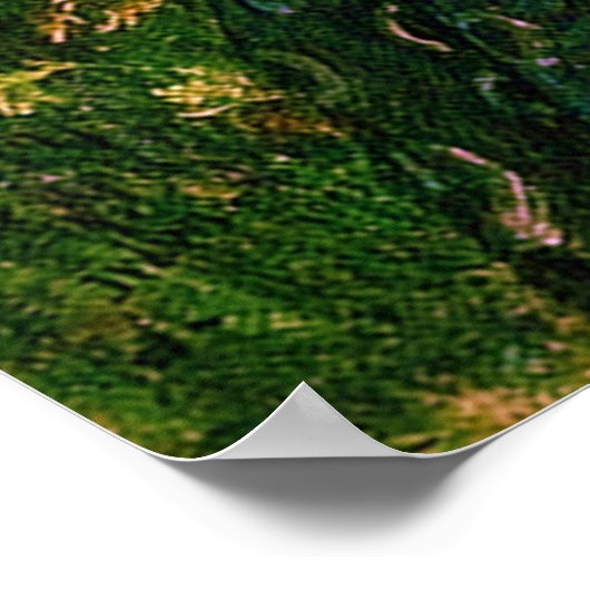 Boreas (1902)~ Leinwand der bildenden Künste Poster (Ecke)