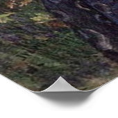 Boreas Canvas Print Poster (Ecke)