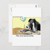 Bored Border Collie Funny gibt T-Shirts Sammlerstü Postkarte (Vorne/Hinten)