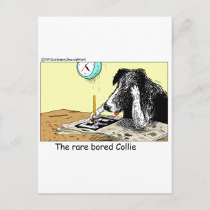 Bored Border Collie Funny gibt T-Shirts Sammlerstü Postkarte