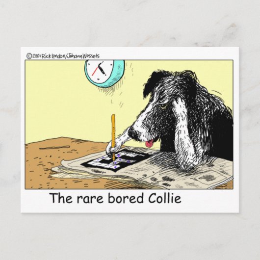 Bored Border Collie Funny gibt T-Shirts Sammlerstü Postkarte (Vorderseite)