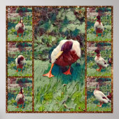 Bored Duck Foto Collage, Poster (Vorne)