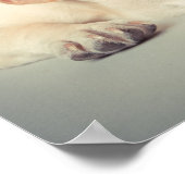 Bored French Bulldog Poster (Ecke)