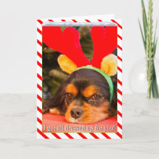 Bored King Charles Spanel Reindeer Weihnachtskarte Feiertagskarte