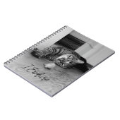 Bored Tabby Cat Lying on Side Staring bei Toy Mous Notizblock (Linke Seite)