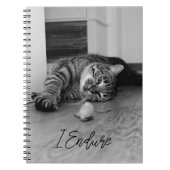 Bored Tabby Cat Lying on Side Staring bei Toy Mous Notizblock (Vorderseite)