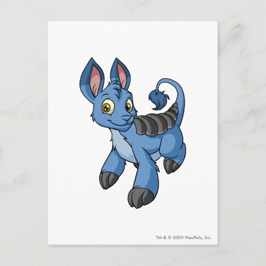 Bori Blue Postkarte (Vorderseite)